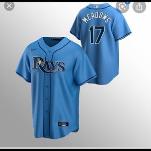 tampa bay rays meadows jersey#17